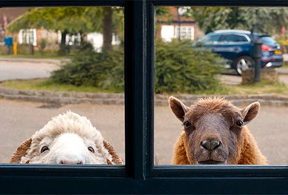 Szenenbild © siehe Verleih